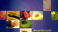  Schistosoma mansoni e esquistossomose: uma visÃ£o multidisciplinar 